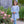 Load image into Gallery viewer, London Floral Pants Set
