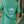 Load image into Gallery viewer, Logo Tee- Sharks on Sage
