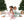 Load image into Gallery viewer, Golfing Santa And Elves L/S Loungewear Set
