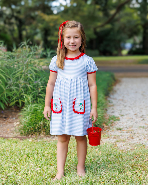 So Berry Sweet Ruffle Pocket Dress