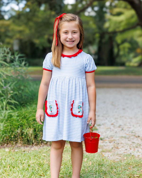 So Berry Sweet Ruffle Pocket Dress