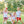 Load image into Gallery viewer, Bayou Boil Polo
