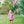 Load image into Gallery viewer, Gracie Diaper Set- Red Stripe and Navy
