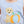 Load image into Gallery viewer, Pumpkins and Paws Jon Jon
