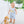 Load image into Gallery viewer, Pumpkins and Paws Jon Jon
