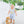 Load image into Gallery viewer, Pumpkins and Paws Jon Jon
