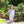 Load image into Gallery viewer, Castle Romper
