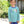 Load image into Gallery viewer, Tool Shirt
