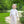 Load image into Gallery viewer, Bow Romper
