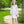 Load image into Gallery viewer, Bow Dress
