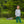 Load image into Gallery viewer, Mallard Embroidery Pants Set
