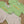 Load image into Gallery viewer, Autumn Harvest Bubble
