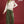 Load image into Gallery viewer, Ruffle Shoulder Quarter-Zip Pullover- Ecru
