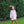 Load image into Gallery viewer, Kite Bloomer Set

