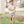 Load image into Gallery viewer, Let It Fly SS- Light Yellow
